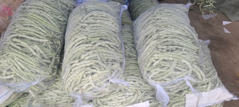 白云豆白条豆角