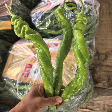 精品螺丝椒