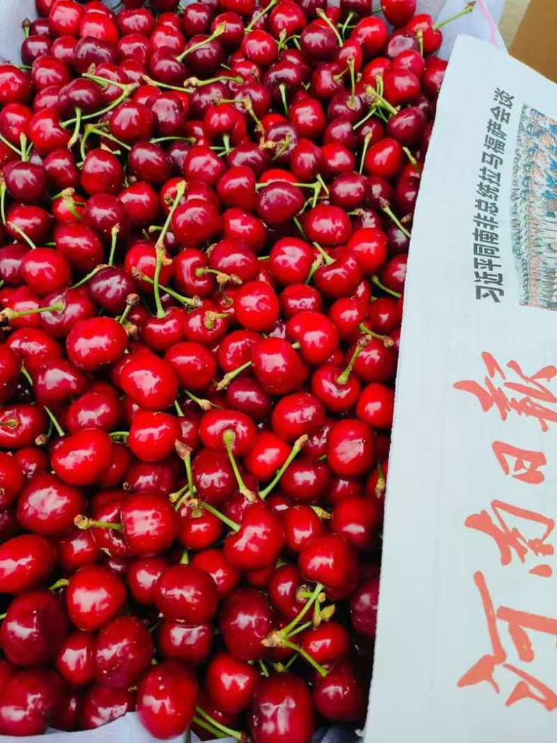 灵宝大樱桃，入口香甜