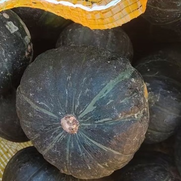 广州增城区三江贝贝南瓜