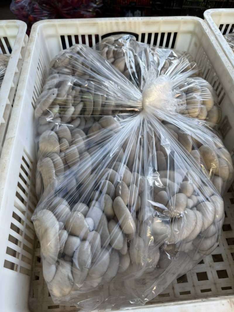 新鲜平菇