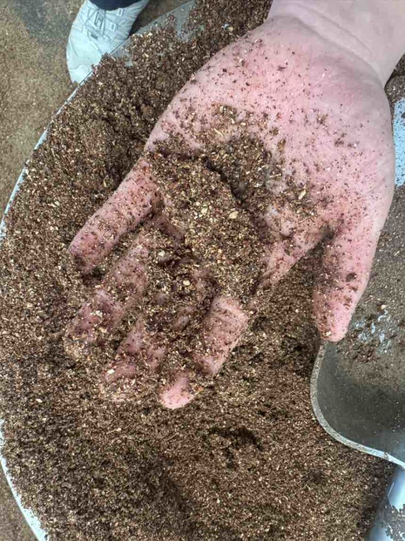 饲料级枣粉香甜高糖份牛羊鸡鸭鹅都可以吃