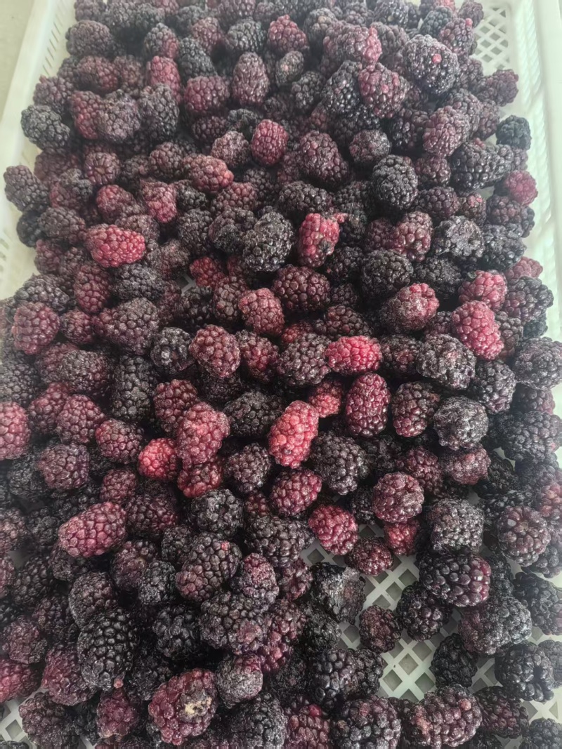 黑莓冻果现货60吨