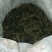 干芝麻叶不多了应该30到40斤左右