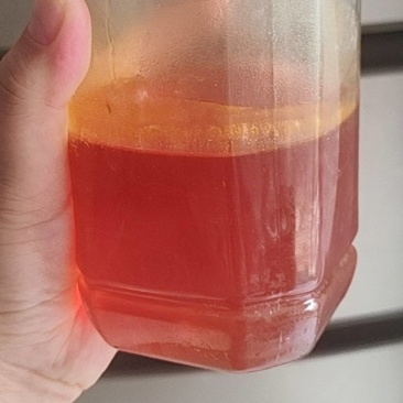 土蜂蜜