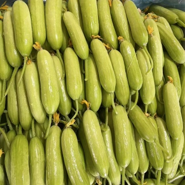奶油黄瓜，