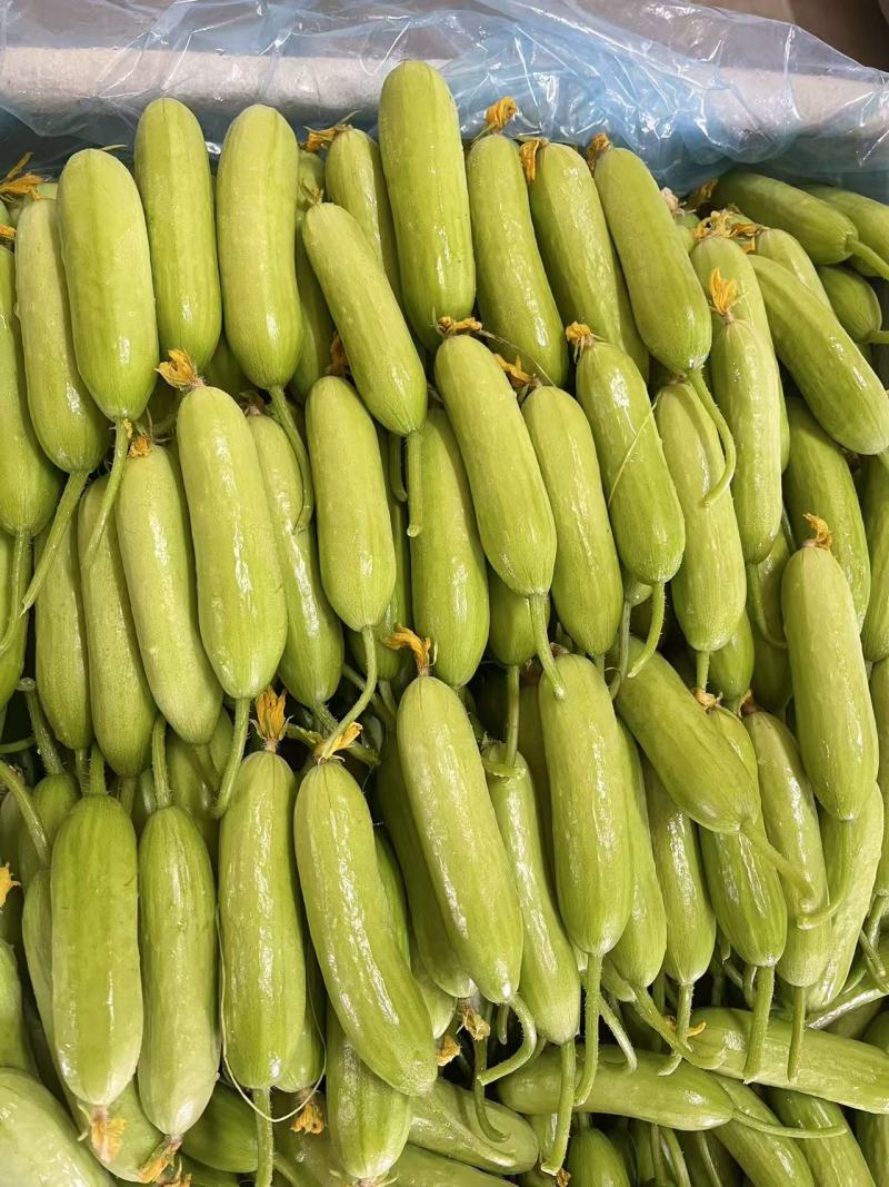 奶油黄瓜，