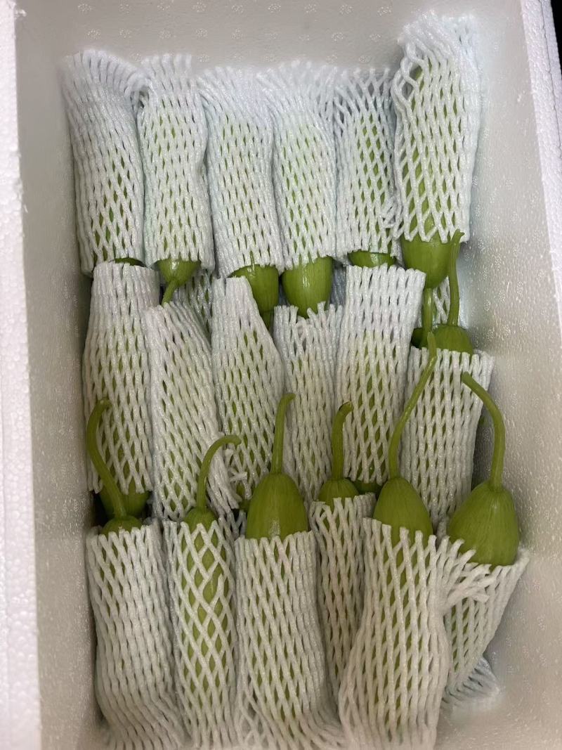 奶油黄瓜，