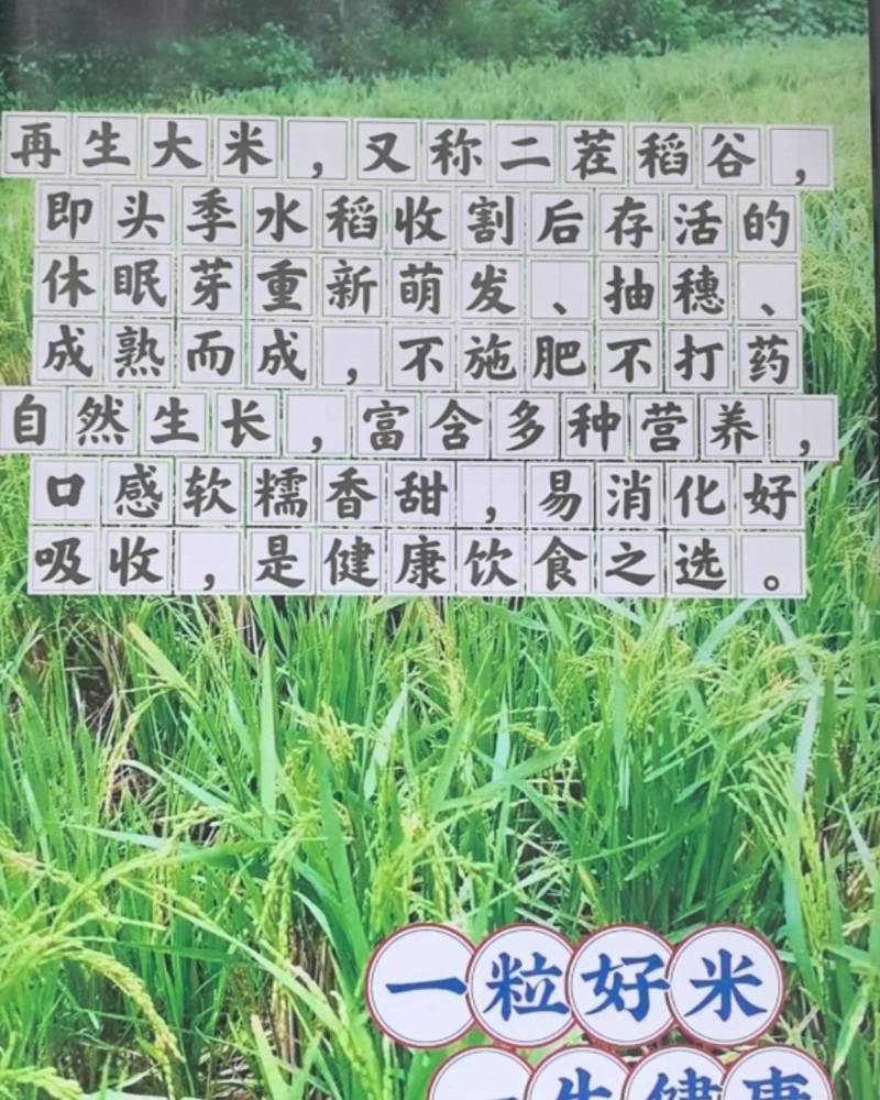 ***的再生米