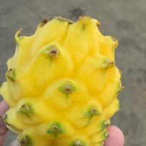 燕窝果