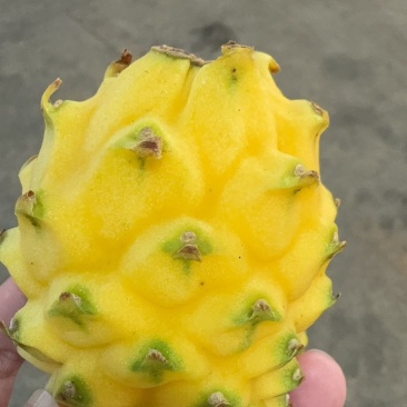 燕窝果
