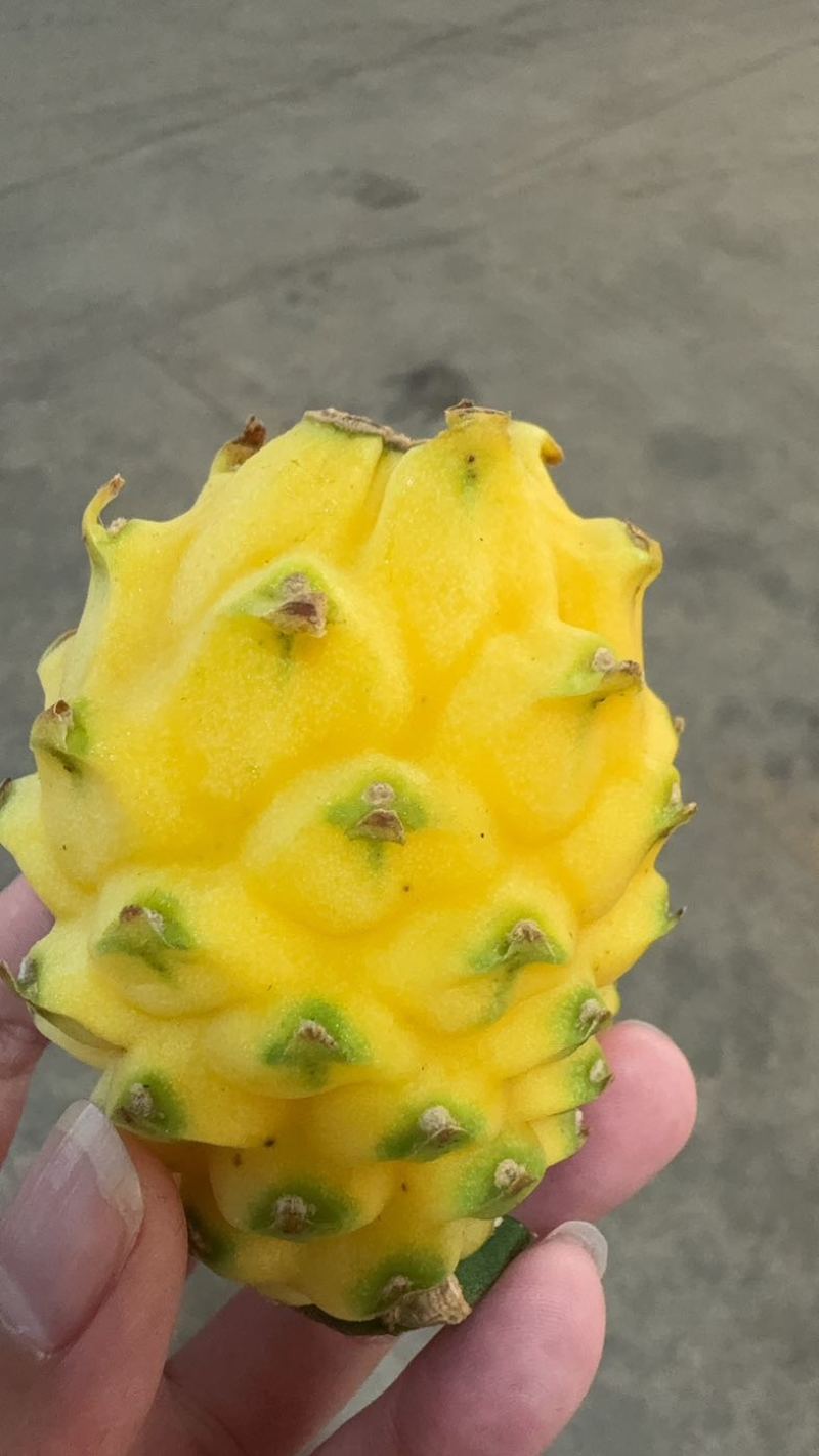 燕窝果