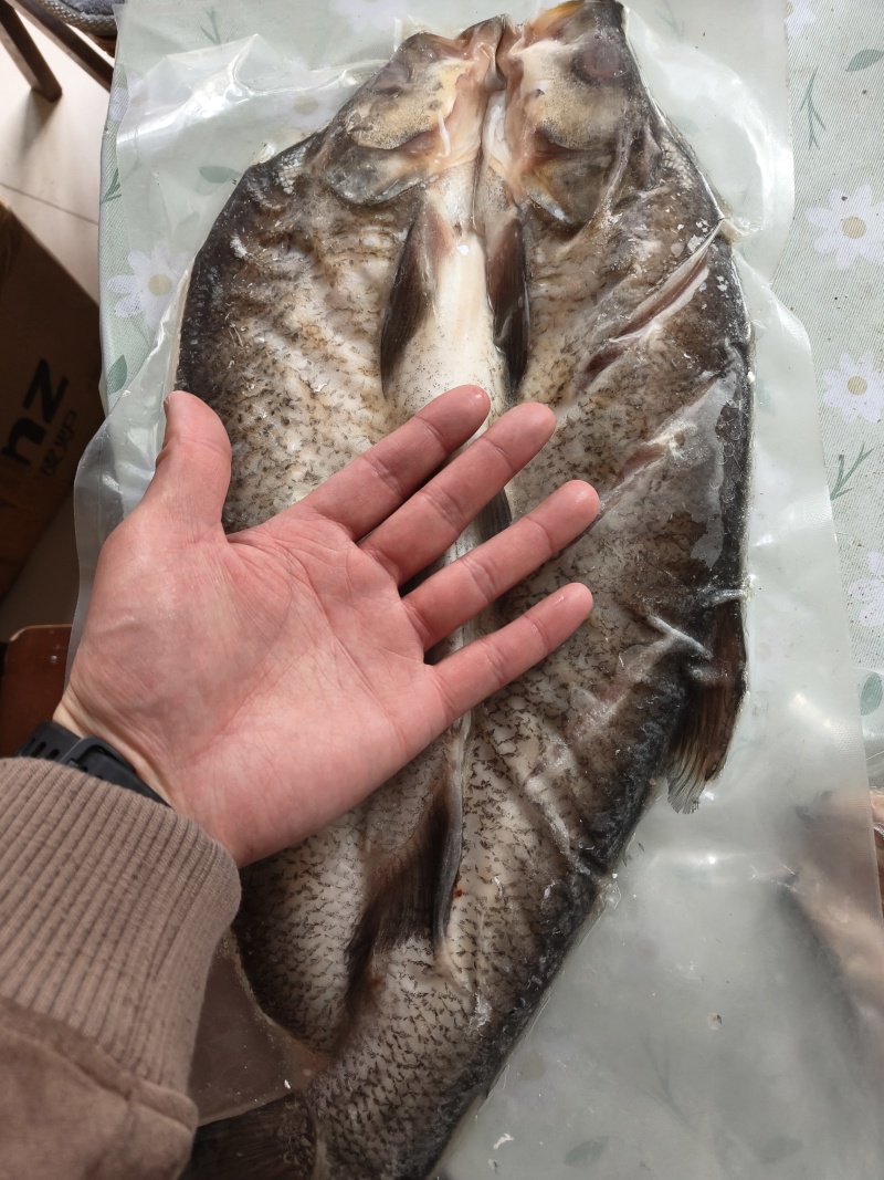 1斤以上1.5斤的2.8斤的都有
