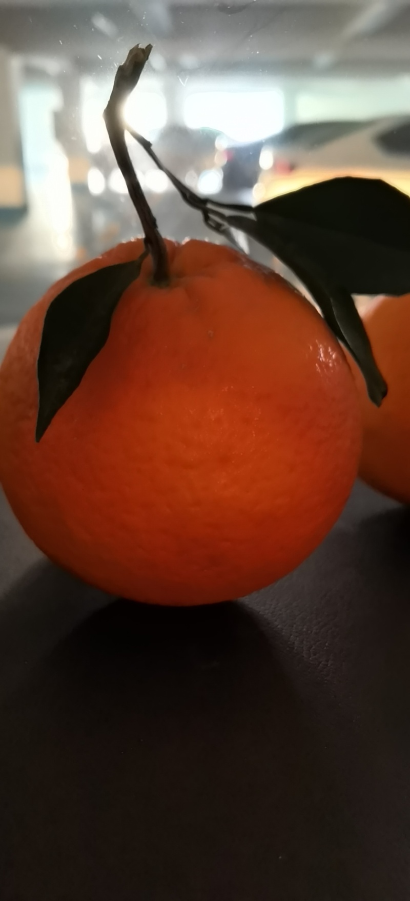 奉节脐橙