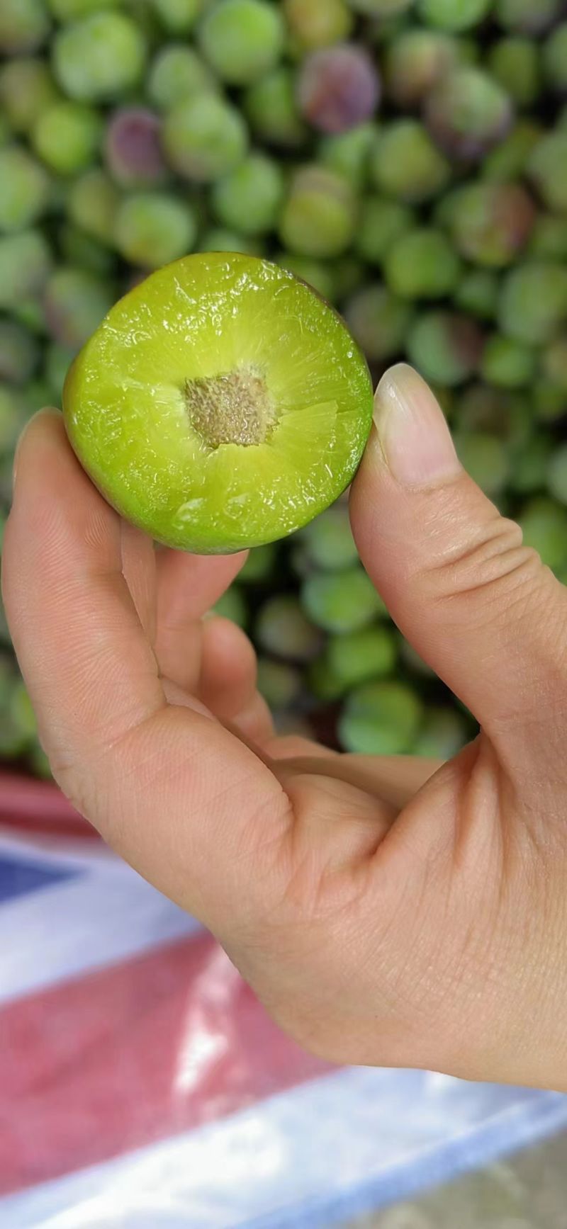 宜宾茵红李