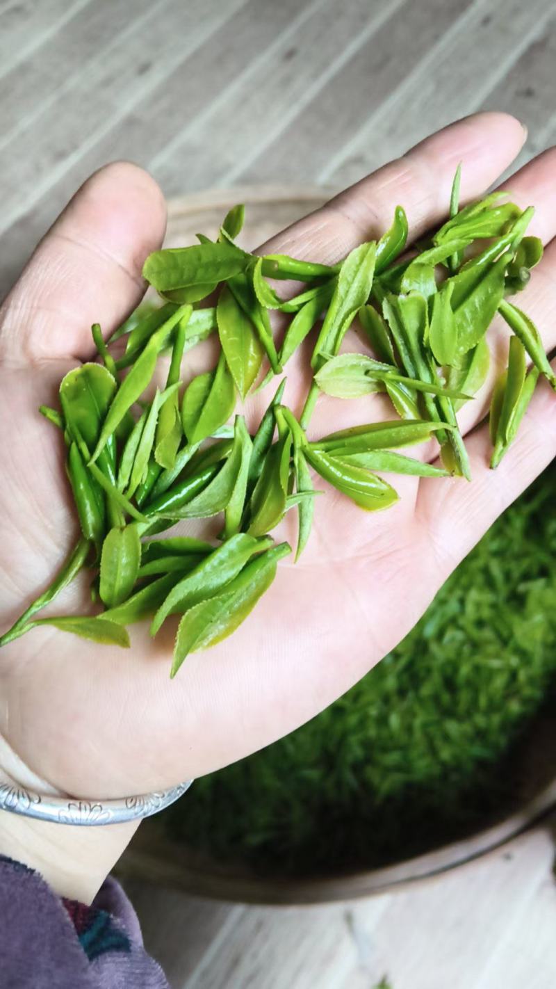 茶叶