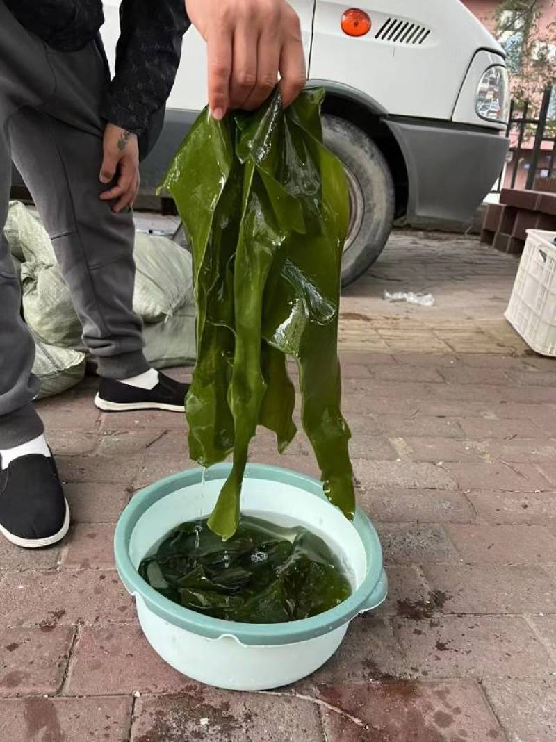 烘干海带边