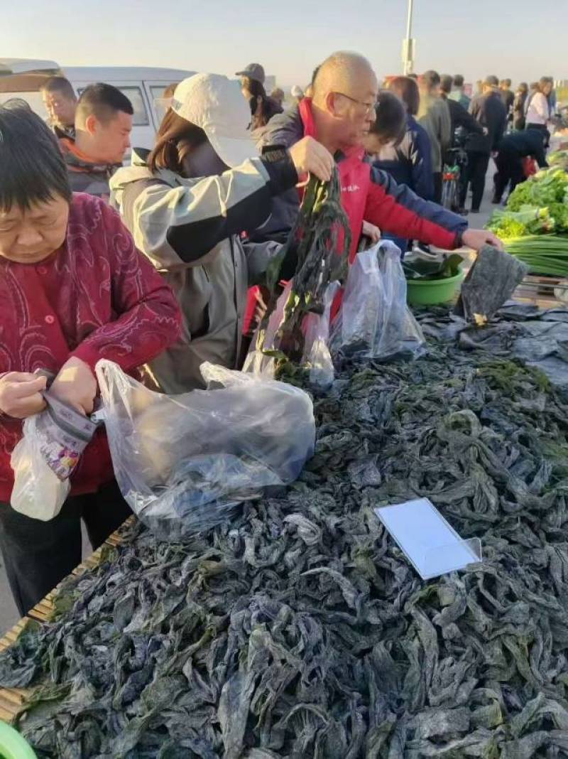 烘干海带边