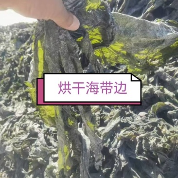 烘干海带边