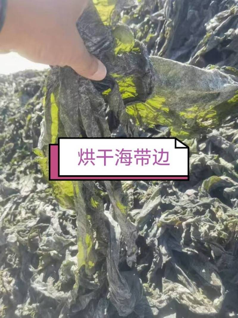烘干海带边