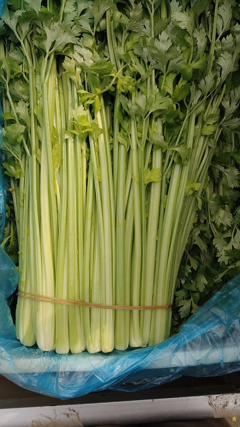 芹菜