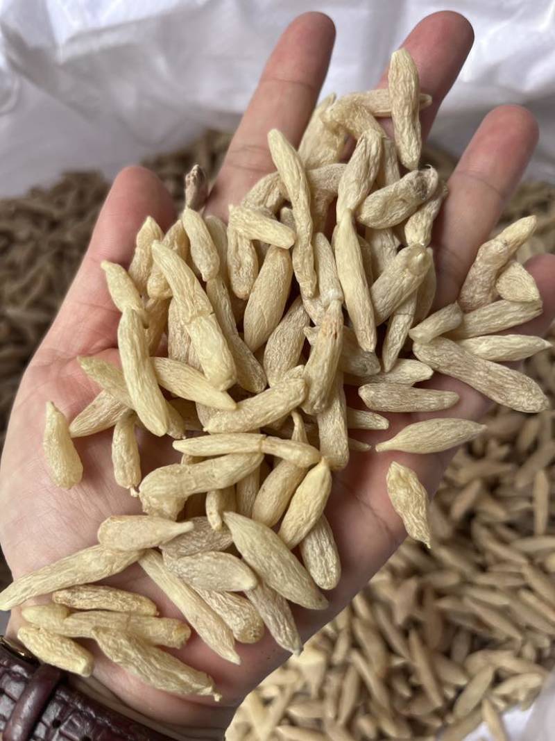 批发四川麦冬绵麦冬无硫新货干度好煮汤煮茶炖汤滋补老人孩子可喝