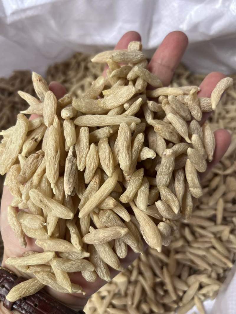 批发四川麦冬绵麦冬无硫新货干度好煮汤煮茶炖汤滋补老人孩子可喝