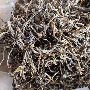 古树茶