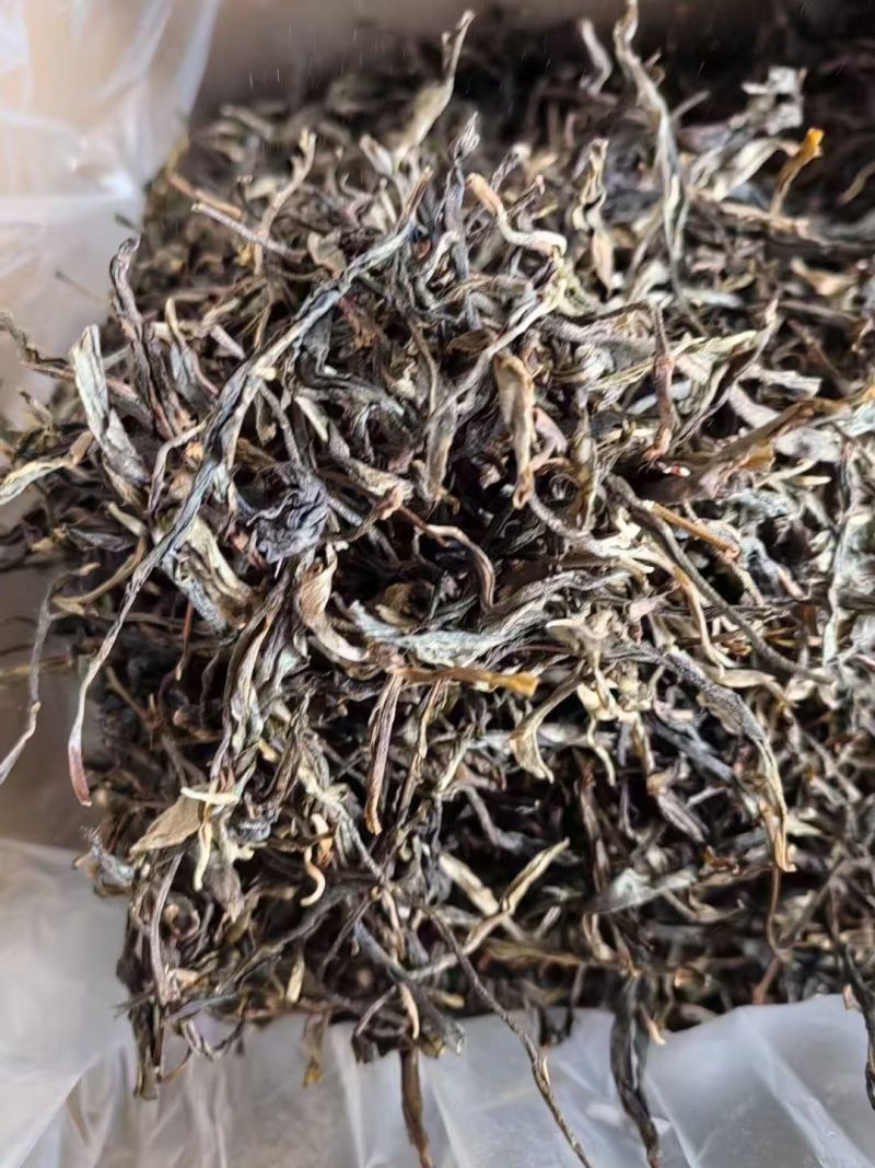 古树茶