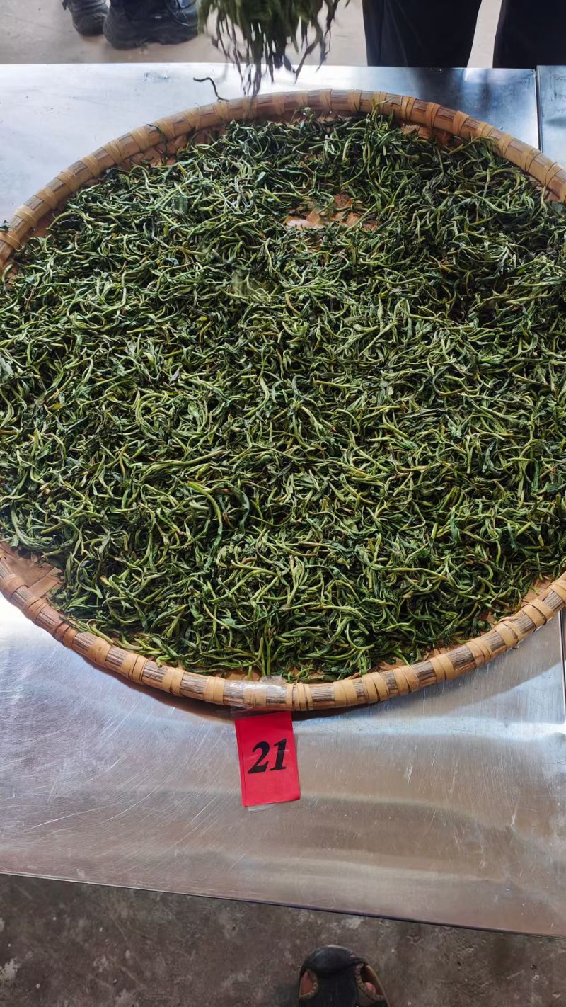 古树茶
