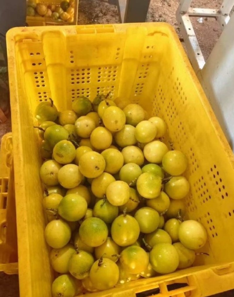 百香果
