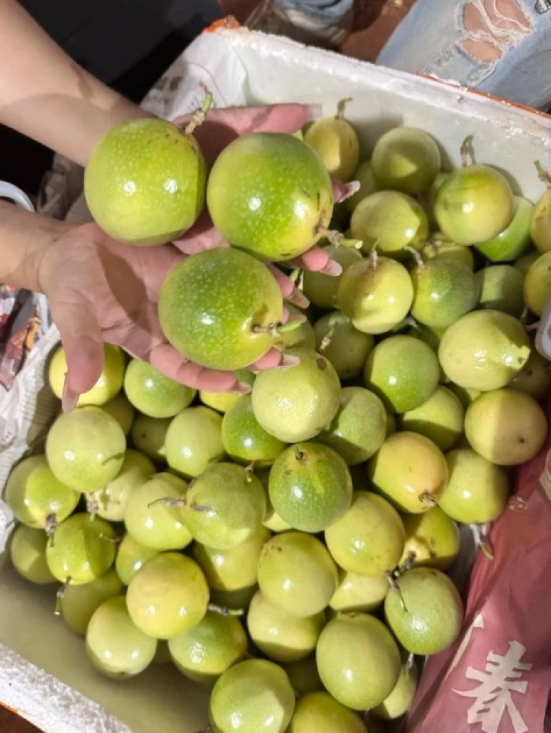 百香果