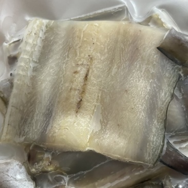 海水鳝鱼干货批发，量大现货