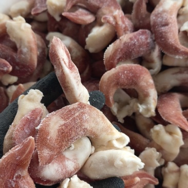 紫鸟贝肉，33粒左右