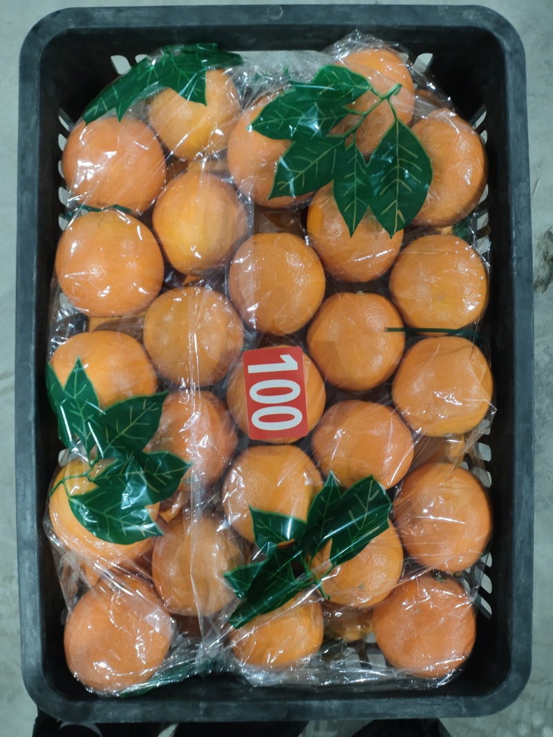 新宁县崀山脐橙