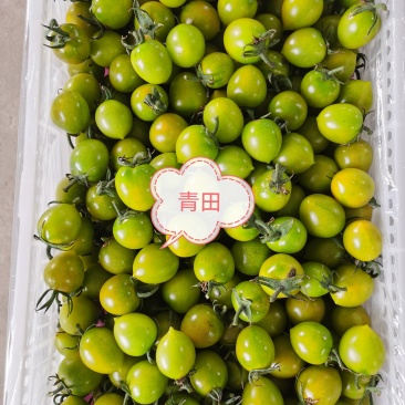各品类新鲜小柿子，口感佳，质量好，基地直发