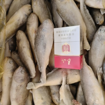 东海黄花鱼规格6-8，4-6，