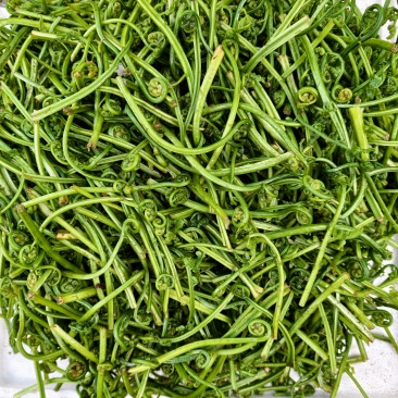 地地道道的山里面的蕨菜