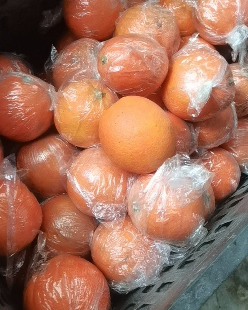 湖南纽荷尔脐橙