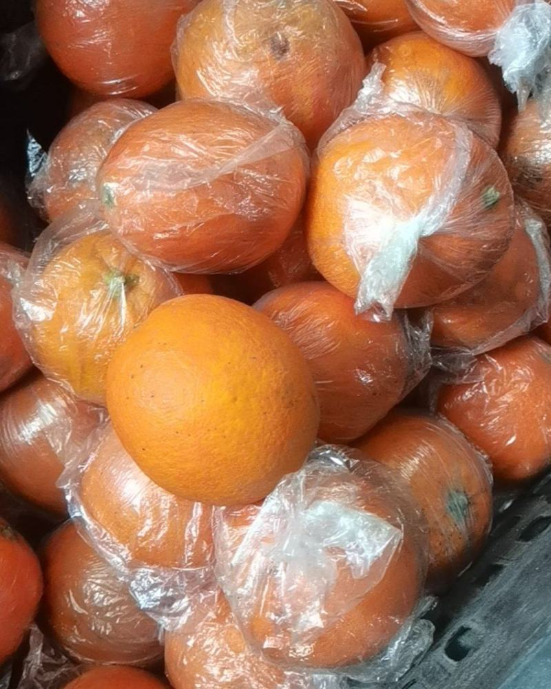 湖南纽荷尔脐橙