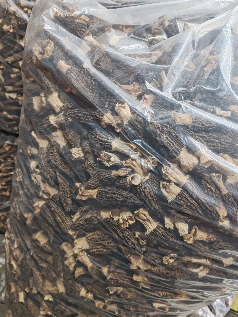 丽水遂昌六妹羊肚菌干