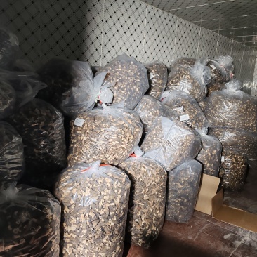 丽水遂昌六妹羊肚菌干