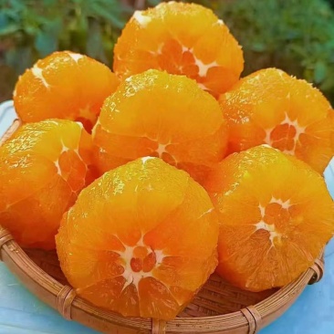 橙子