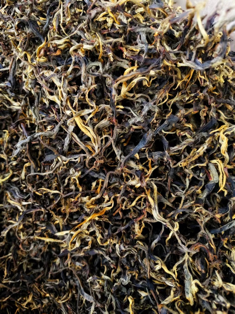 云南滇红晒红茶
