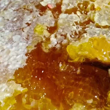 大山野蜂蜜