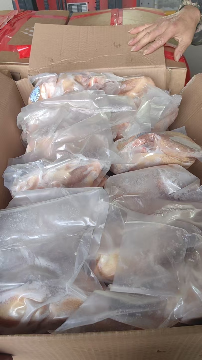 真空包装老母鸡，带鸡心蛋黄，蛋包肠