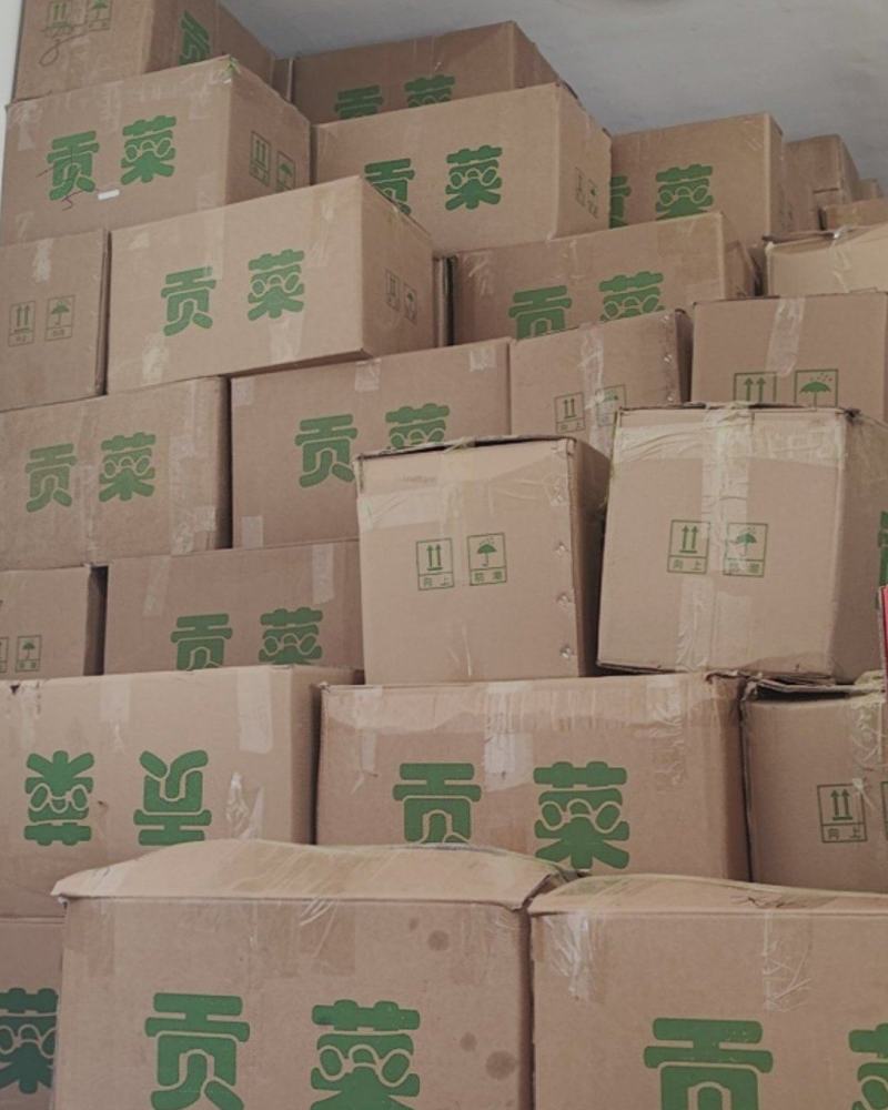 产地贡菜大量现货