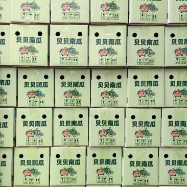 贝贝南瓜