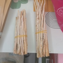 北沙参精选段
