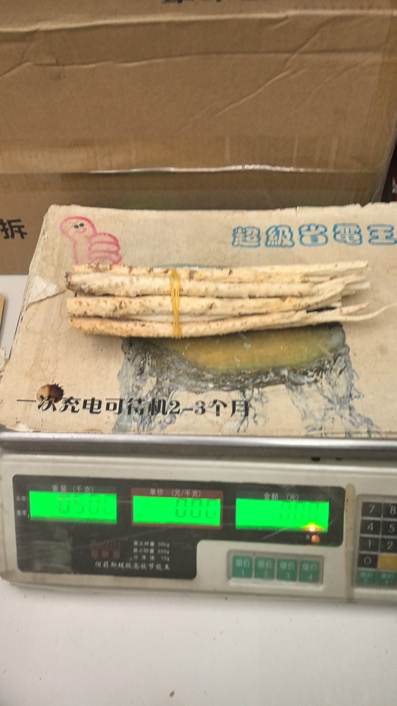 北沙参精选段